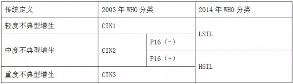 派特生物科普|宮頸錐切術是什麼?作用有哪些 派特生物科普|宮頸錐切術是什麼?作用有哪些