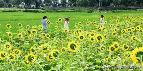 30個美麗鄉村盈利專案推薦