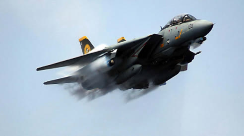 世界兵器大觀：F14雄貓戰鬥機