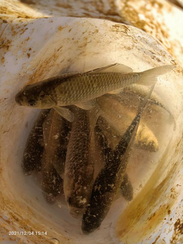 天氣越好魚口越不好，你贊意這個的觀點嘛，歡迎大師留言