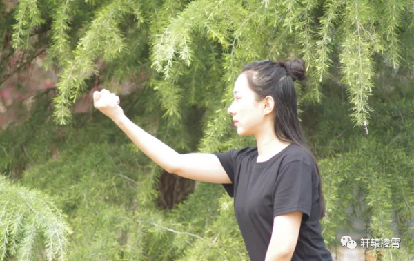 軒轅談形意五行拳例項 軒轅談形意五行拳例項