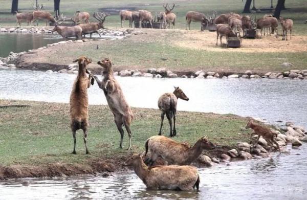 這個國慶假期，網紅景點濾鏡把我騙慘了……