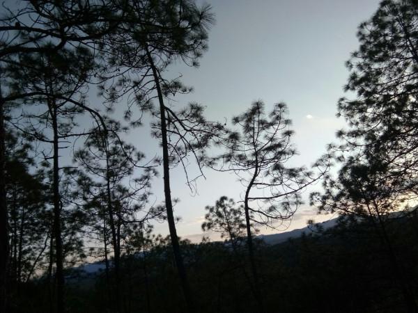 頻繁掛鉤斷線也未能阻止大板鯽爆護