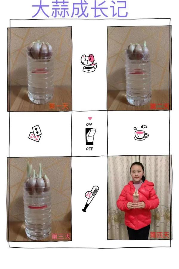 停課不停學“雙減”歡樂多植物種植小樂園（第一期）奇妙的種子