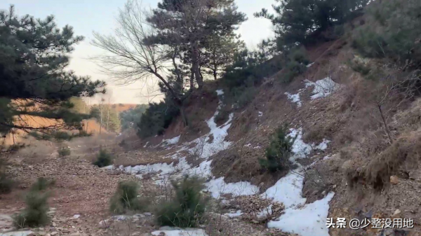 尋找阜新縣大山深處的千年古墓，野草叢生，一片荒涼