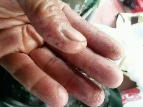 海釣面餌的味型是什麼？真正誘魚的是什麼東西？真有那種神餌嗎？