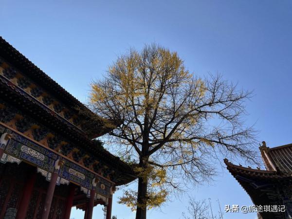 一年出門10個月縱橫30000公里，倆人一車要花多少錢？你能猜到嗎