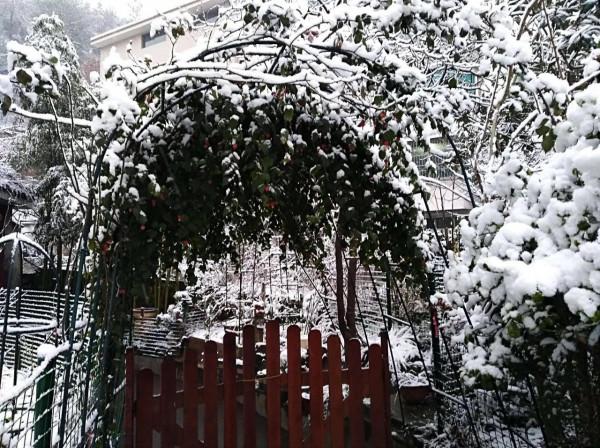 小花園裡秋花正旺，手調曝光補償，拍攝花瓣細節