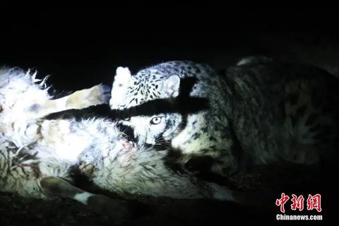 這輩子一定要去趟這個公園 在這裡“有種愛叫放手” 這輩子一定要去趟這個公園 在這裡“有種愛叫放手”