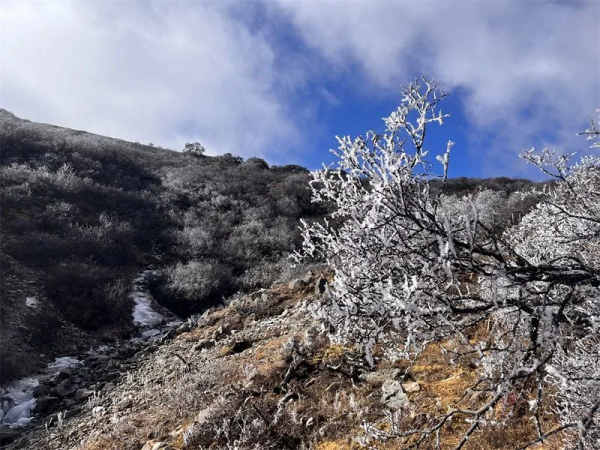 這份“雲南雪山大賞”請拿好～