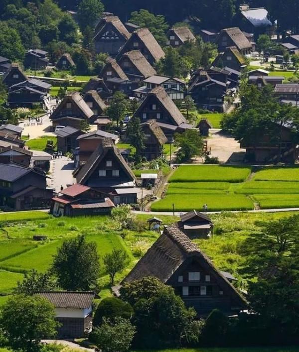 這樣的雪景，想一直住下去