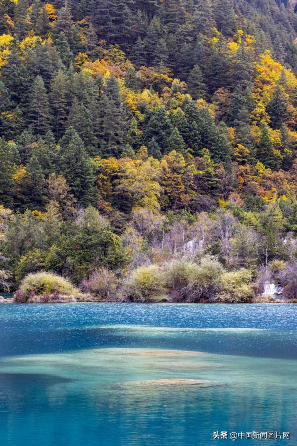 四川九寨溝進入最佳觀賞季