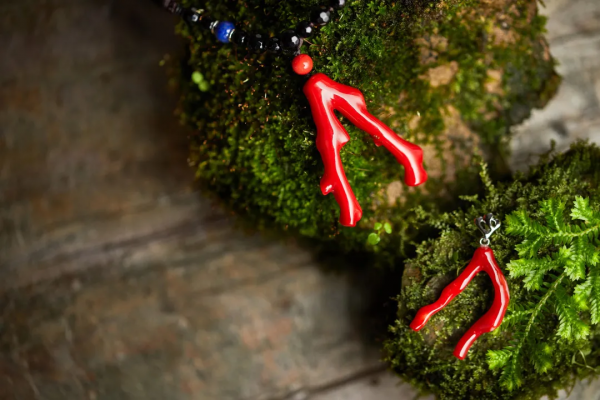 大海中的貴族，珊瑚中的翹楚