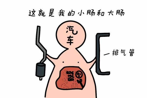 那些你瞧不起的汽車零部件：排氣管不僅貴還能看出車的狀態