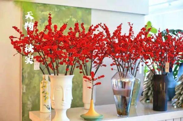 年宵花中的&OpenCurlyDoubleQuote;愛馬仕&rdquo;，紅果子掛滿枝，紅紅火火大吉大利