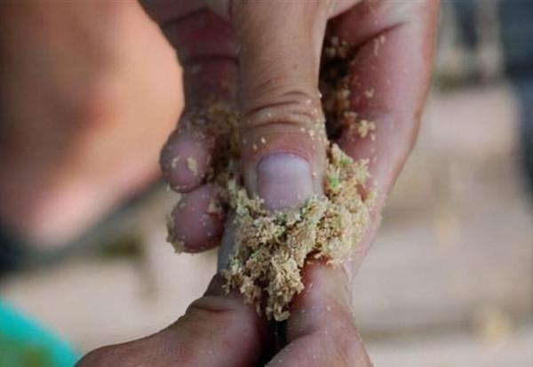 紅蟲顆粒這麼用，誘魚效果比紅蟲的效果還要好一些