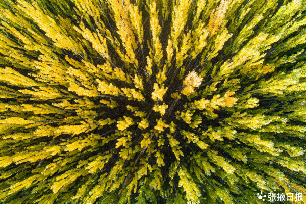 蘆水灣如畫卷般的美景美色,是放鬆身心的絕佳景點 蘆水灣如畫卷般的美景美色,是放鬆身心的絕佳景點