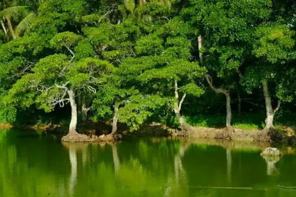 中國10座最慵懶的城市！累了煩了，趁著十一就去待幾天