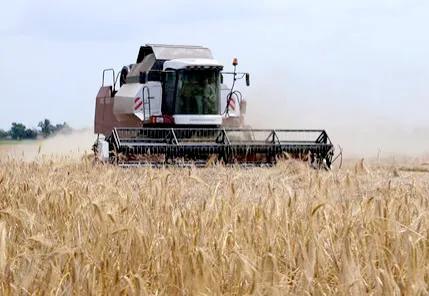 農業發展前景分析探討