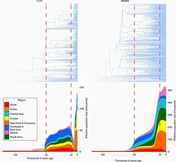 7000年前女人數量或比男人多17倍,究竟是什麼情況? 7000年前女人數量或比男人多17倍,究竟是什麼情況?