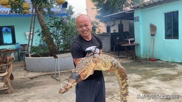 距離海口就1小時車程,人均70可吃到白蓮鵝、鱷魚宴、烤乳豬等 距離海口就1小時車程,人均70可吃到白蓮鵝、鱷魚宴、烤乳豬等