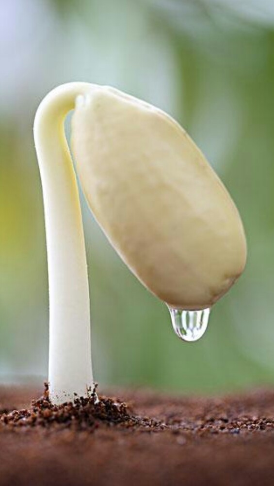 俗語故事:眼不見為淨 俗語故事:眼不見為淨