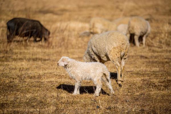 住進遺落人間的天堂 哈弗M6 PLUS生活記