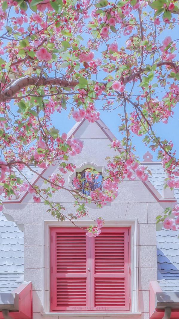 浪漫夢幻的冬日迪士尼攝影桌布，這也太治癒了