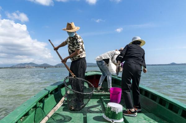 海南：新村港灣可乘船觀光撈海膽