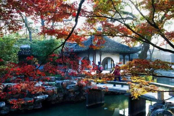 千萬別與秋天的姑蘇比美!楓葉漫山,銀杏紛飛,一步一景美成了詩 千萬別與秋天的姑蘇比美!楓葉漫山,銀杏紛飛,一步一景美成了詩