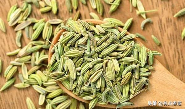 12種常見香料怎麼用？一次性告訴你！還有滷料配方，滷啥都香