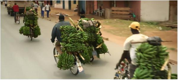 非洲腳踏車騎手：載500斤香蕉騎行100公里，時速70公里不踩剎車