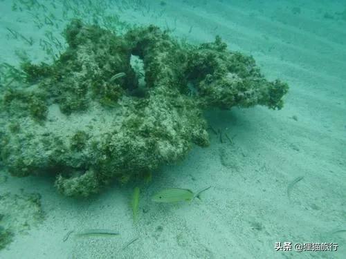 開曼群島是英國屬地,以前叫龜島,有大小開曼島、開曼布拉克島 開曼群島是英國屬地,以前叫龜島,有大小開曼島、開曼布拉克島