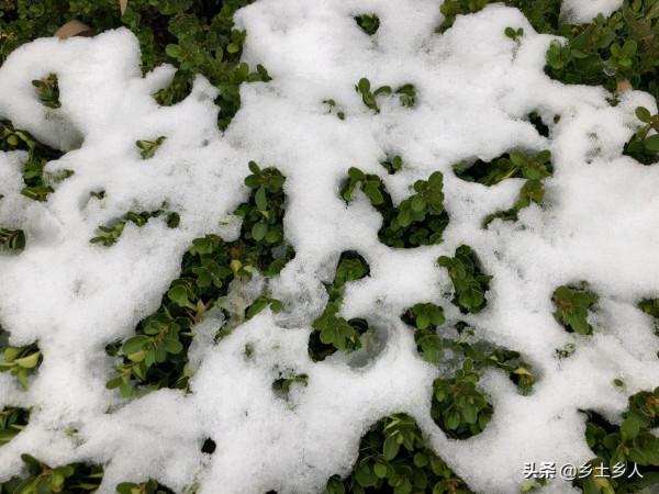 2022年春節冷不冷?俗語“春節冷不冷,就看八月半”,有啥預兆? 2022年春節冷不冷?俗語“春節冷不冷,就看八月半”,有啥預兆?