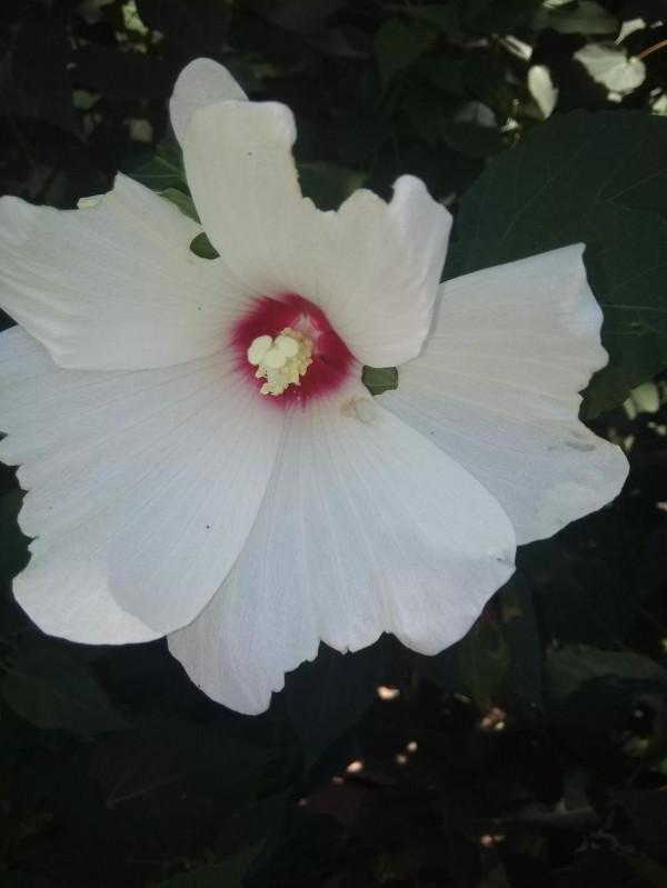 人體是由哪些物質組成的 人體是由哪些物質組成的