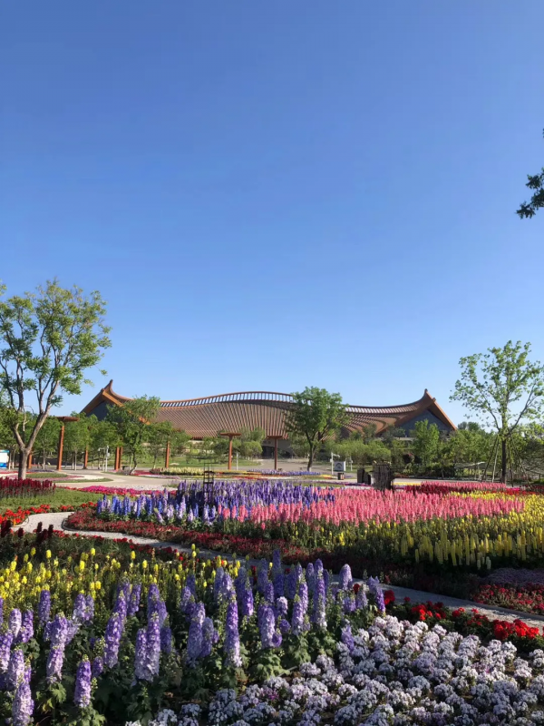 京城這個爆火的4A級景區，你打卡了嗎？快收下這份經典路線攻略，跟著走就行！