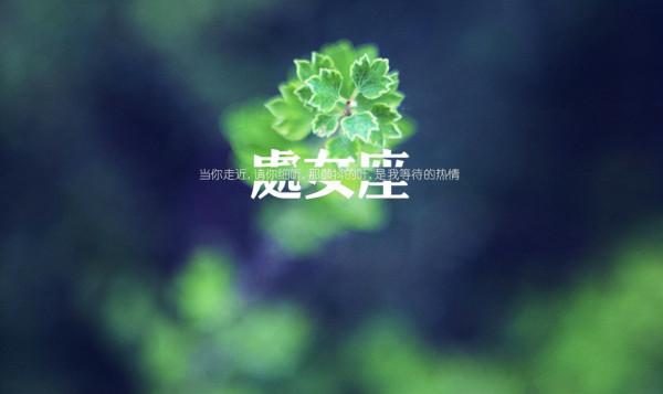 習慣默默努力，用高智商“碾壓”常人的星座，內心孤傲不太合群