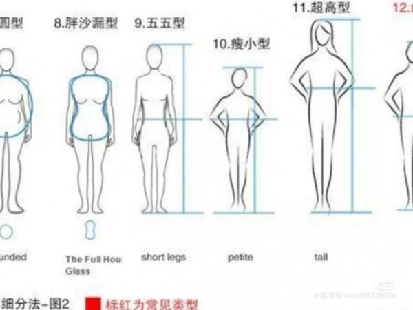 瞭解自己的身型