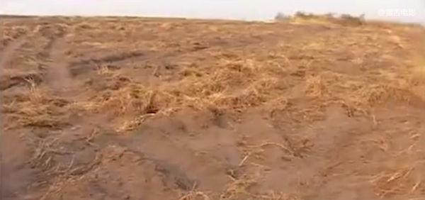 中國人想去非洲掙大錢,結果卻混成菜農,喝水都成奢侈!紀錄片 中國人想去非洲掙大錢,結果卻混成菜農,喝水都成奢侈!紀錄片