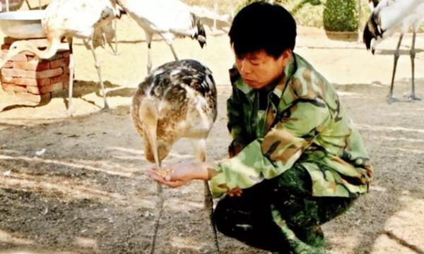 丹頂鶴女孩犧牲27年後，弟弟同樣在保護區殉職，今侄女接過接力棒