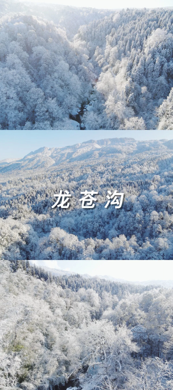 元旦最強攻略出爐！小眾美景、愜意度假、全家出遊都有，拿走去耍