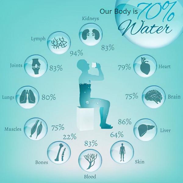 食問（四）平淡如水？