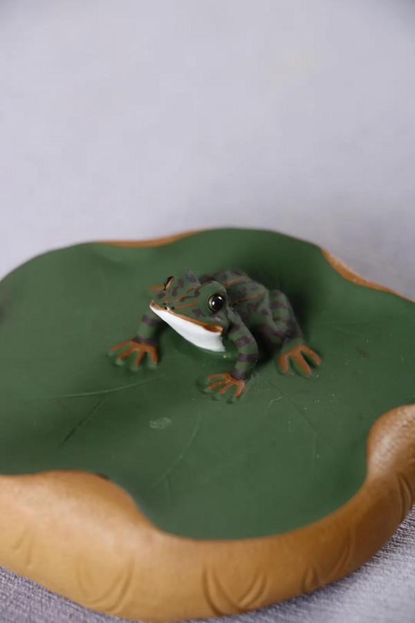 蛙趣，青蛙，逼真嗎？