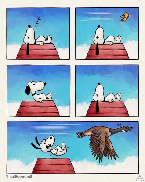 腦洞大的可以補天,一起來看看吧 腦洞大的可以補天,一起來看看吧