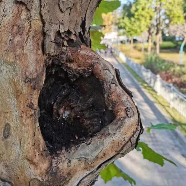 這點小心機少不了