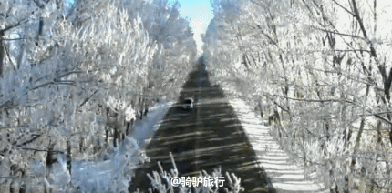 新疆霧凇,這才是完美冬天的開啟方式,真正的冰雪王國... 新疆霧凇,這才是完美冬天的開啟方式,真正的冰雪王國...