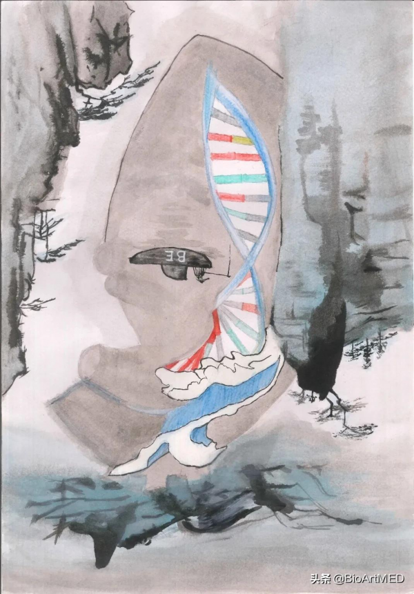 鹼基編輯技術治療心肌病取得突破 鹼基編輯技術治療心肌病取得突破