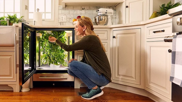 知耕快報｜世界最小農業AI機器人問世；藻類基因注入重塑視覺神經