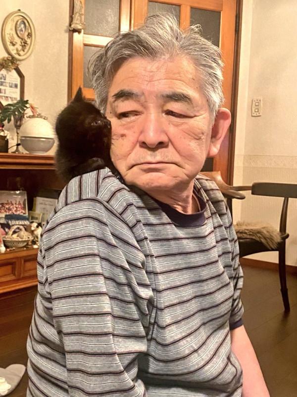 日本老爺爺救回一隻被烏鴉攻擊的小黑貓，擼貓半年人都變年輕了