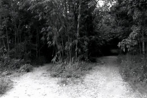 雲南21歲女知青失蹤懸案，深夜獨自上廁所後，神秘失蹤48年無音信